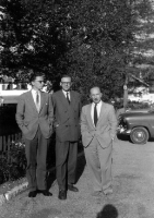 Londyn 1955